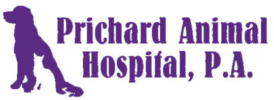 Prichard Animal Hospital