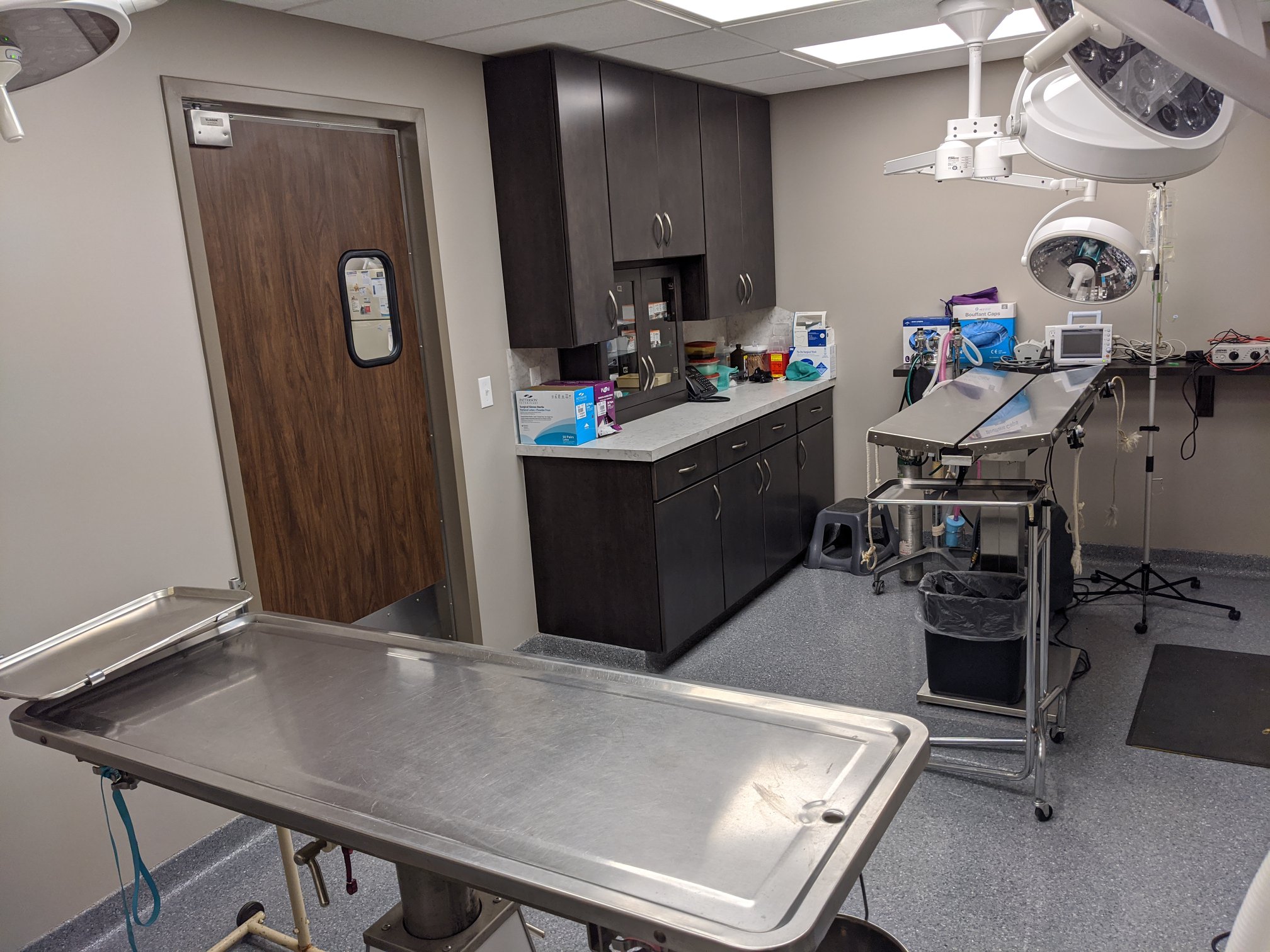 Animal Surgery and Hospital Care in Haysville, KS | Prichard Animal Hospital